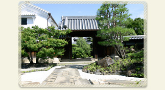 美と愉悦の日本庭園